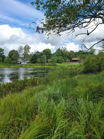 Lot #13-1 Shore Road Ellsworth ME 04605