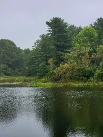 Lot #13-1 Shore Road Ellsworth ME 04605