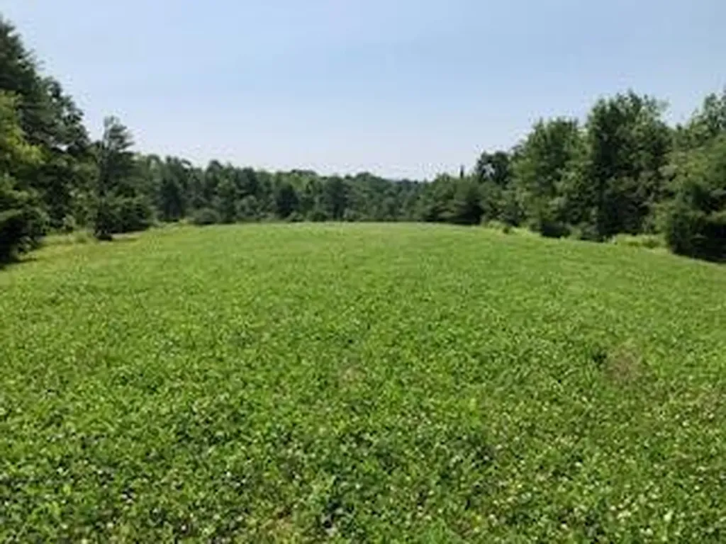 Lot # 10 Pittston Road (Route 194) Road Whitefield ME 04353
