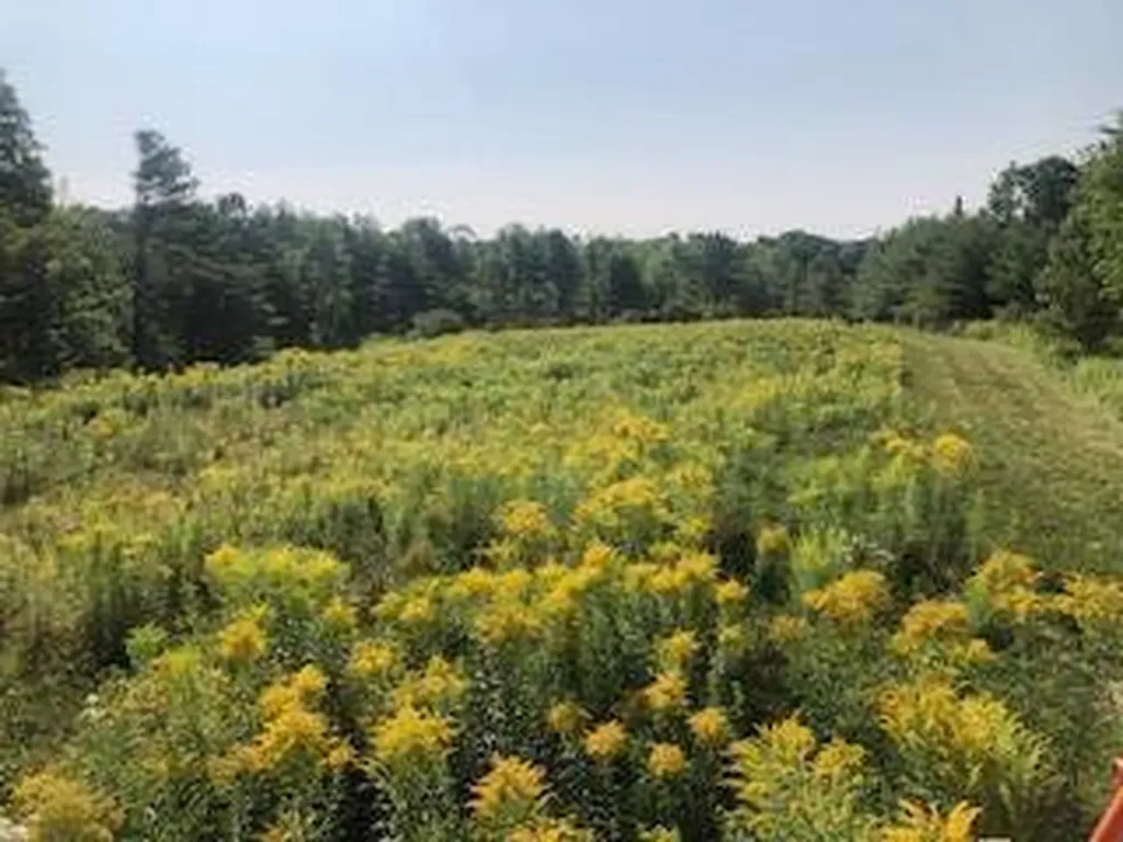 Lot # 10 Pittston Road (Route 194) Road Whitefield ME 04353