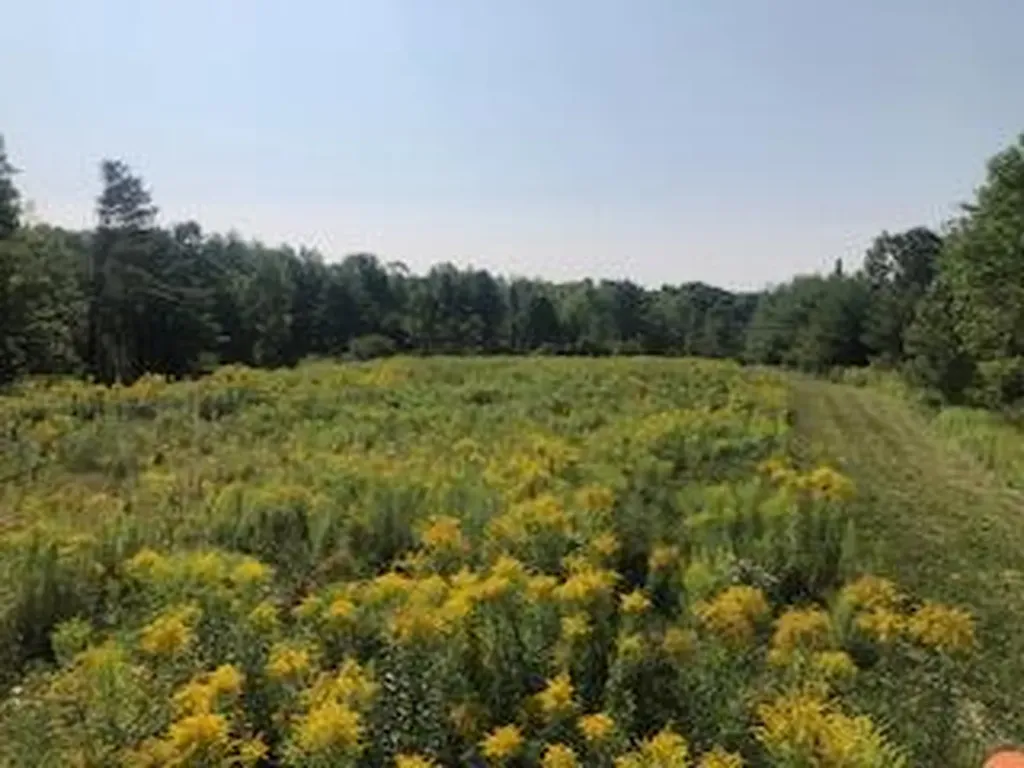Lot # 10 Pittston Road (Route 194) Road Whitefield ME 04353
