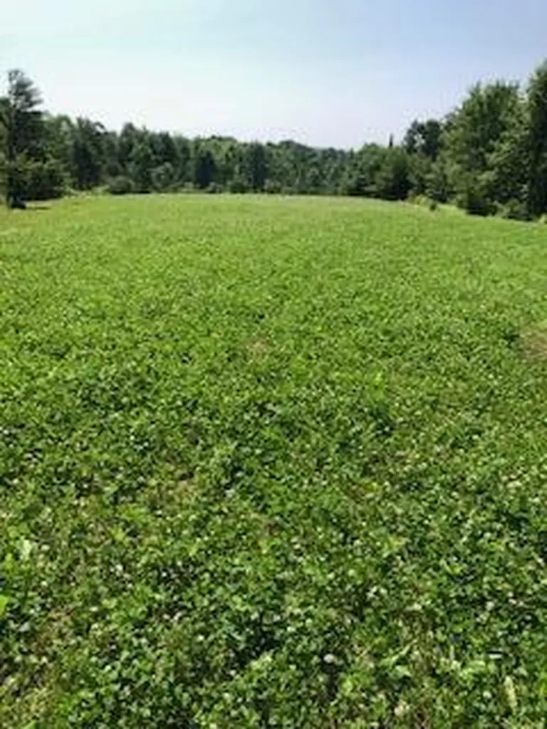 Lot # 10 Pittston Road (Route 194) Road Whitefield ME 04353