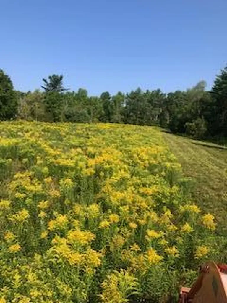 Lot # 10 Pittston Road (Route 194) Road Whitefield ME 04353