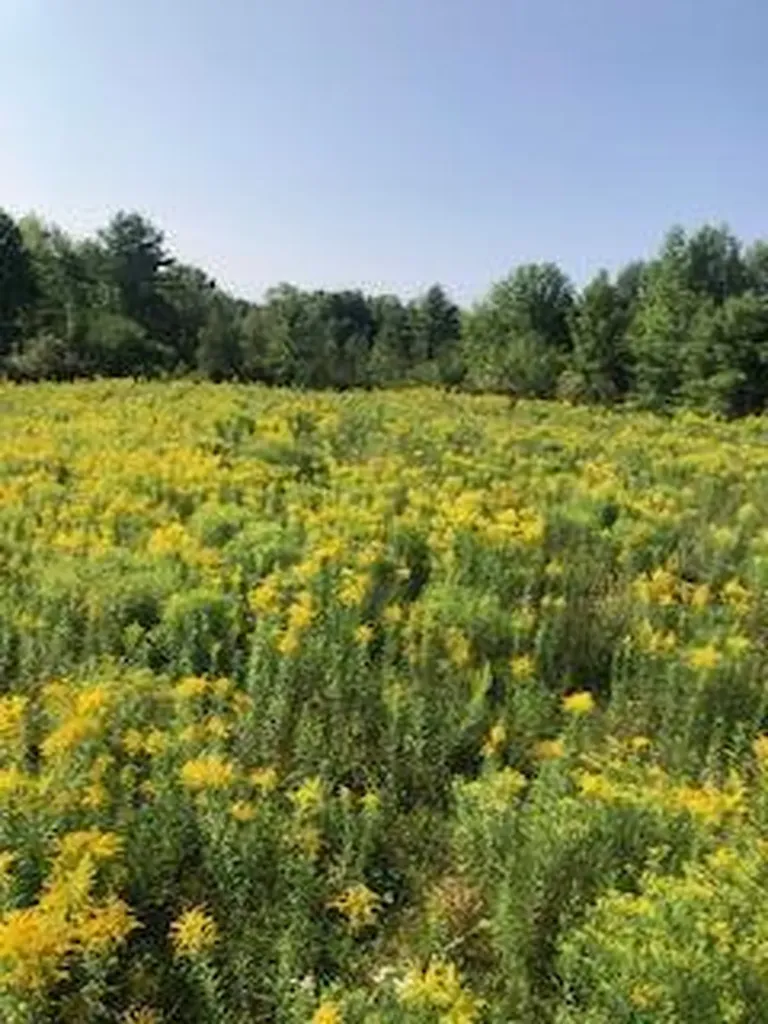 Lot # 10 Pittston Road (Route 194) Road Whitefield ME 04353