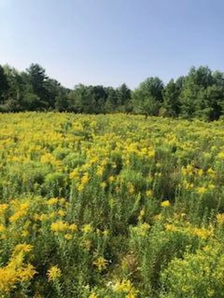 Lot # 10 Pittston Road (Route 194) Road Whitefield ME 04353