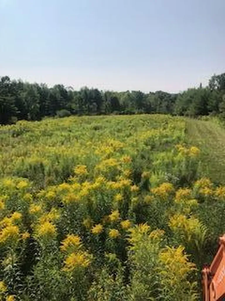 Lot # 10 Pittston Road (Route 194) Road Whitefield ME 04353