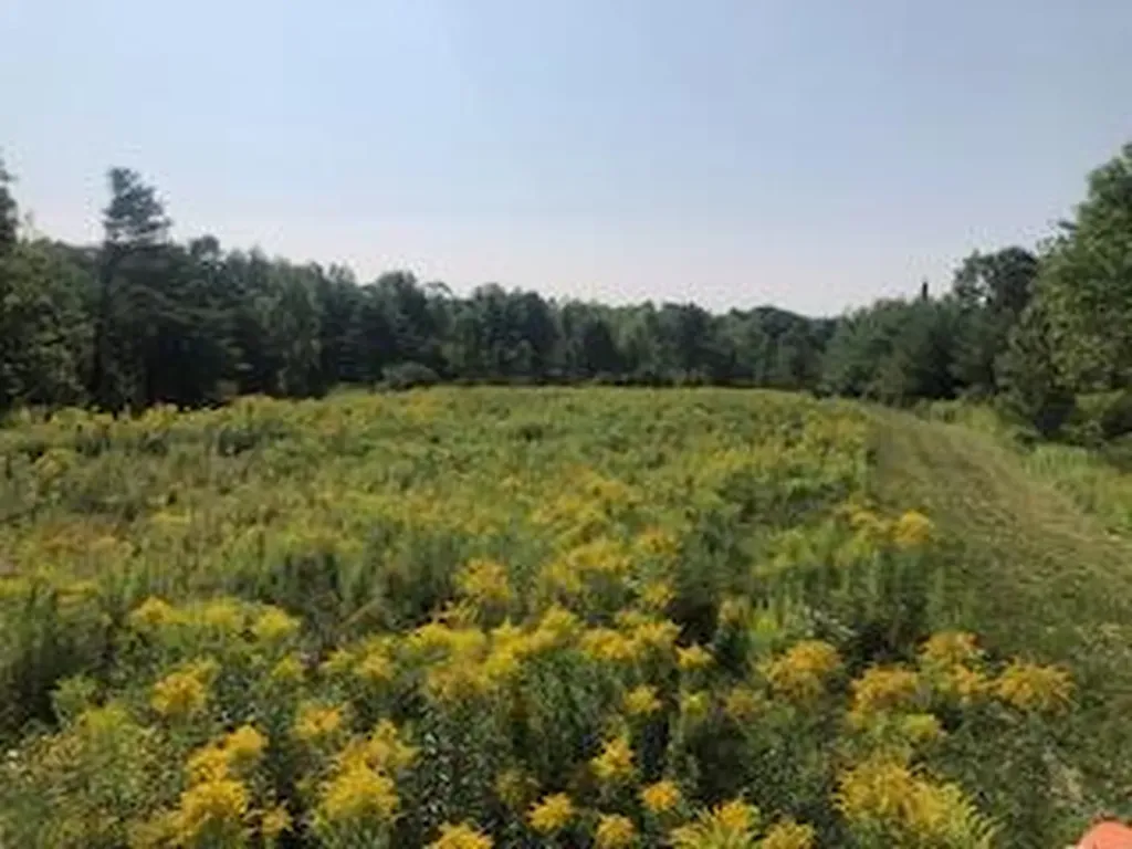 Lot # 10 Pittston Road (Route 194) Road Whitefield ME 04353