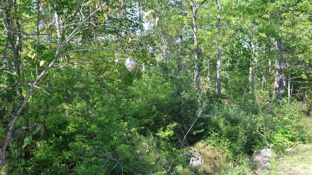 Lot # 10 Pittston Road (Route 194) Road Whitefield ME 04353