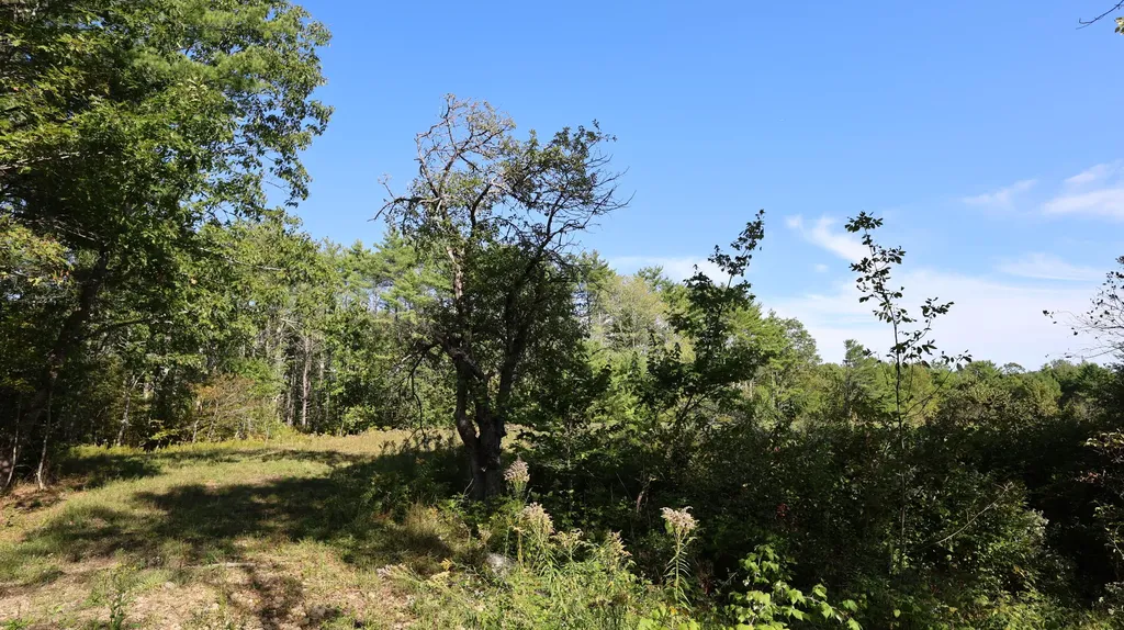 Lot # 10 Pittston Road (Route 194) Road Whitefield ME 04353