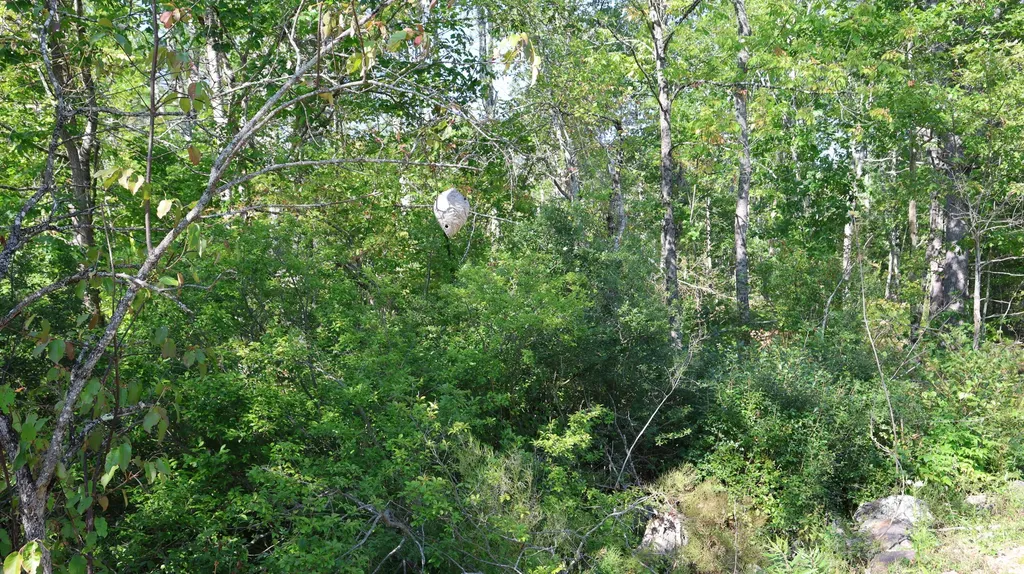 Lot # 10 Pittston Road (Route 194) Road Whitefield ME 04353