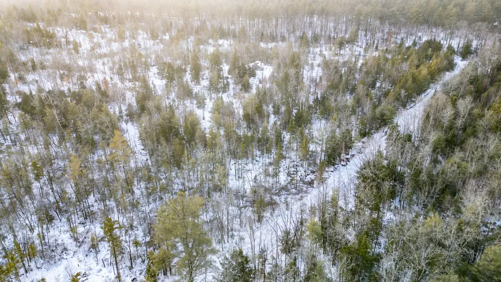 Lot 7-001 Crouse Road Bethel ME 04217