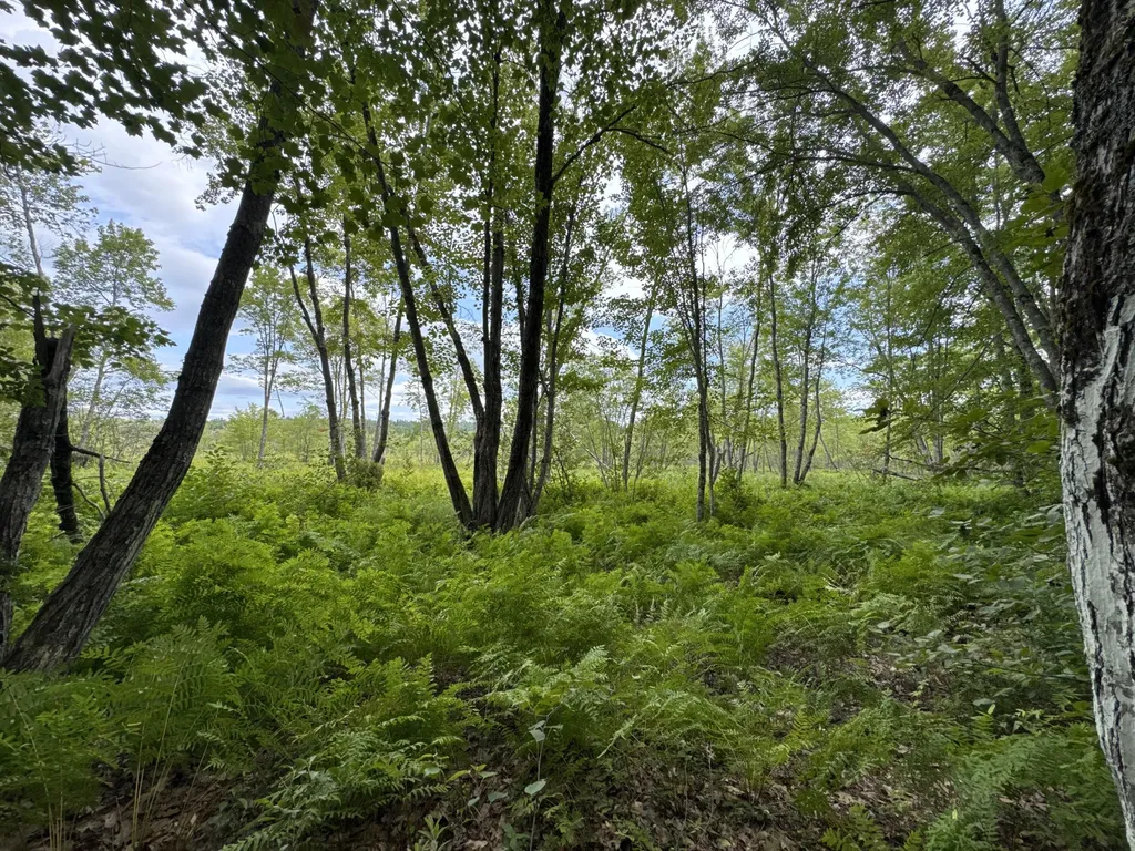 MAP20LOT19 Carter Hill Road Fryeburg ME 04037