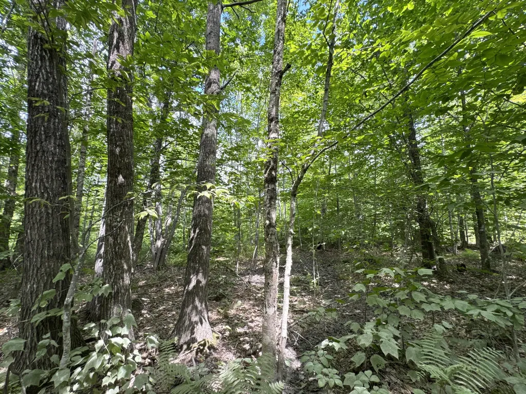 MAP20LOT19 Carter Hill Road Fryeburg ME 04037