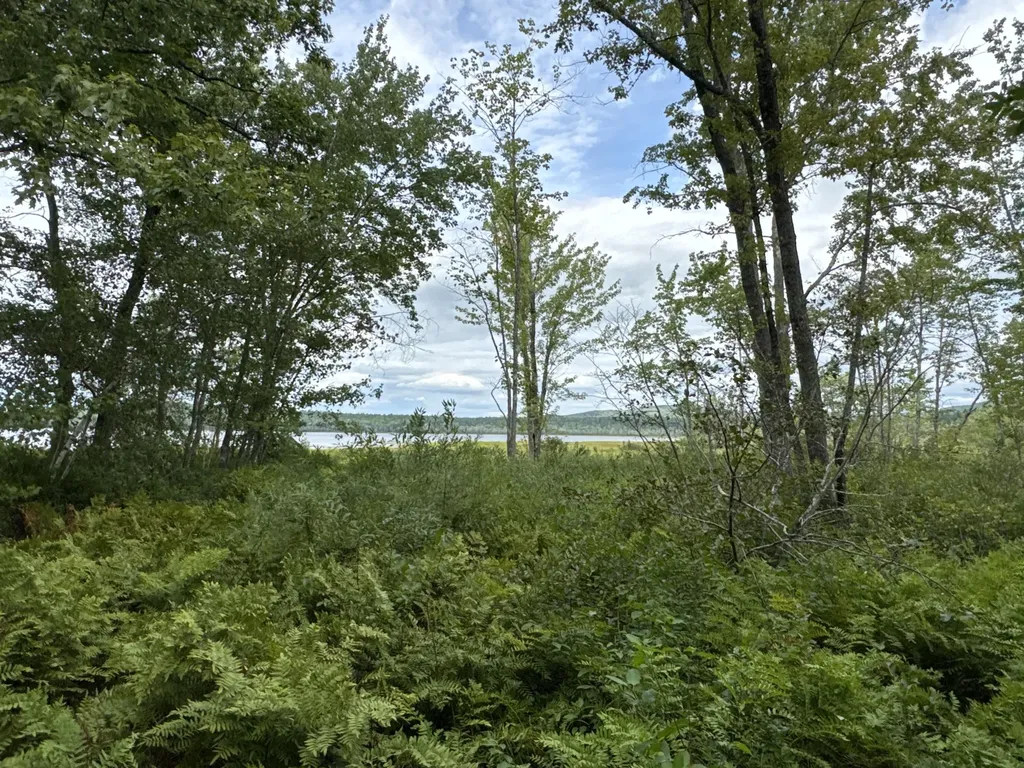 MAP20LOT19 Carter Hill Road Fryeburg ME 04037