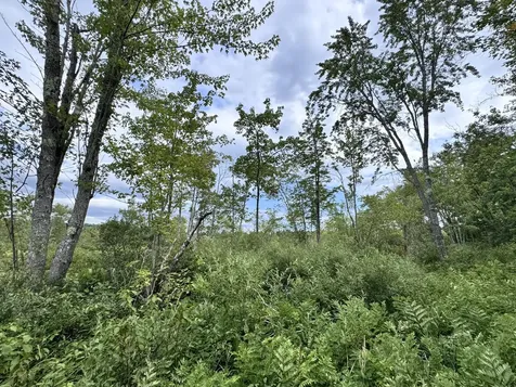 MAP20LOT19 Carter Hill Road Fryeburg ME 04037