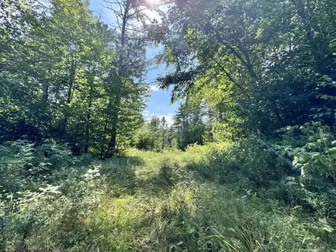 MAP20LOT19 Carter Hill Road Fryeburg ME 04037