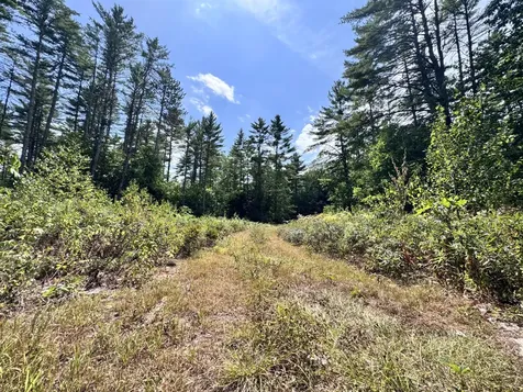 MAP20LOT19 Carter Hill Road Fryeburg ME 04037
