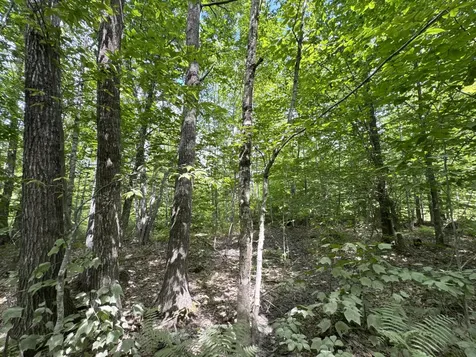 MAP20LOT19 Carter Hill Road Fryeburg ME 04037