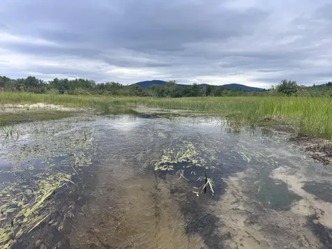 MAP20LOT19 Carter Hill Road Fryeburg ME 04037