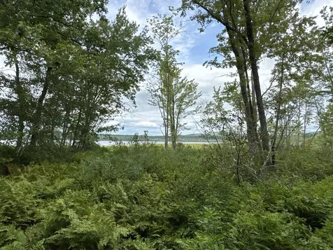 MAP20LOT19 Carter Hill Road Fryeburg ME 04037