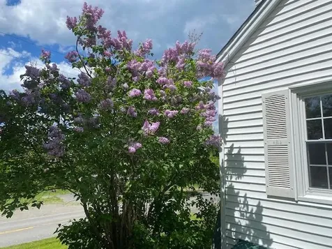 397 Lily Bay Road Greenville ME 04441
