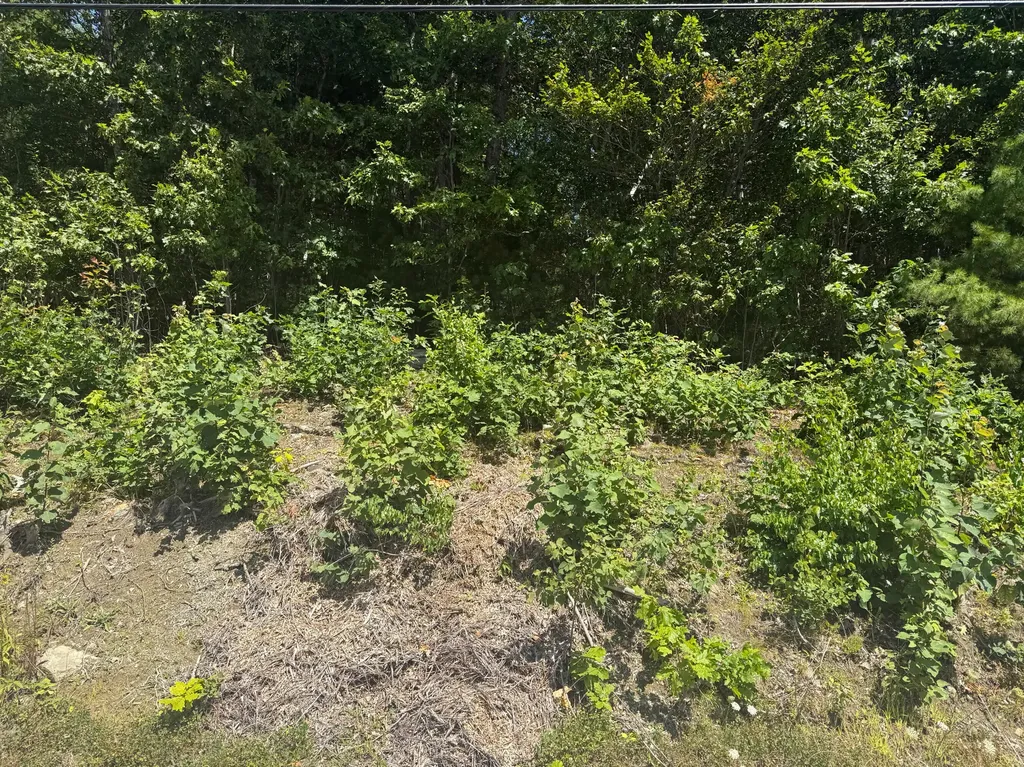 0 Robbins Road Belfast ME 04915