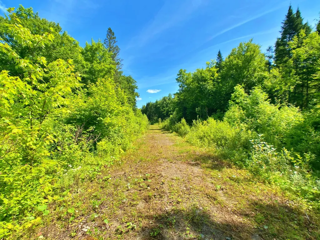 M11L114.5G New Sweden Road New Sweden ME 04762