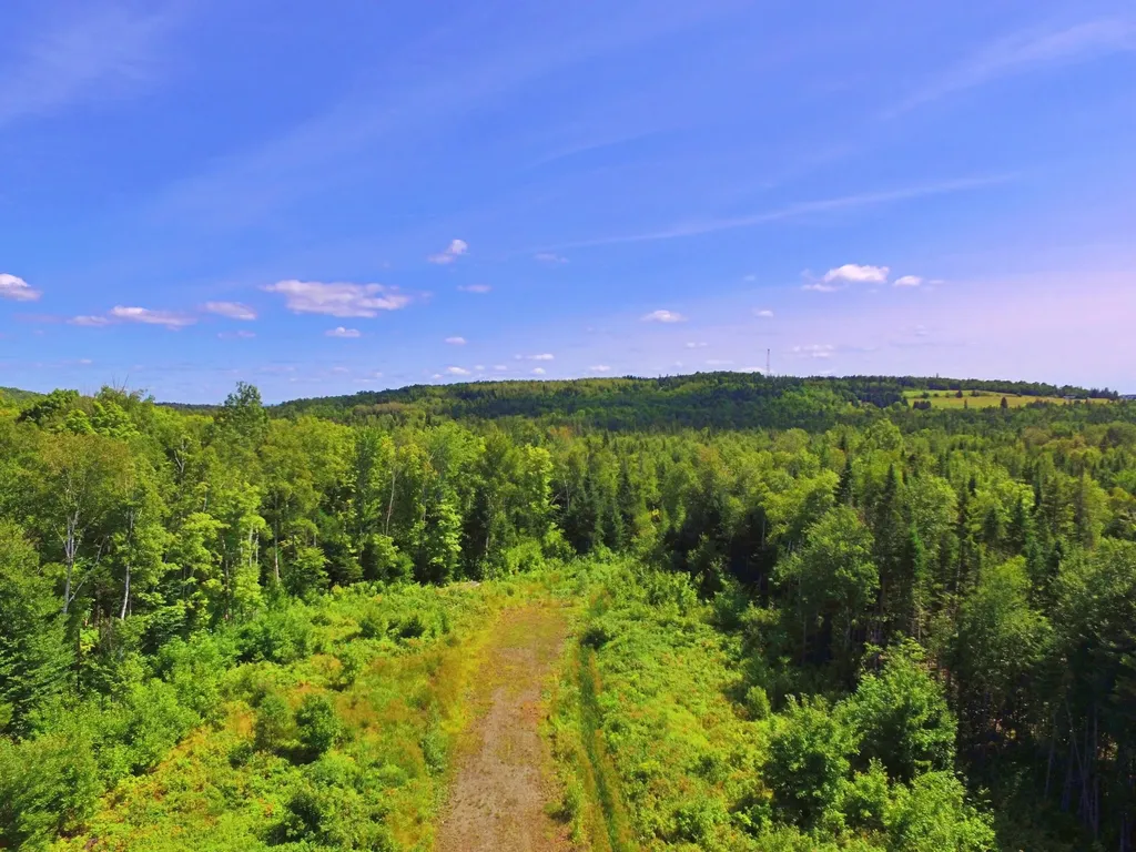 M11L114.5G New Sweden Road New Sweden ME 04762