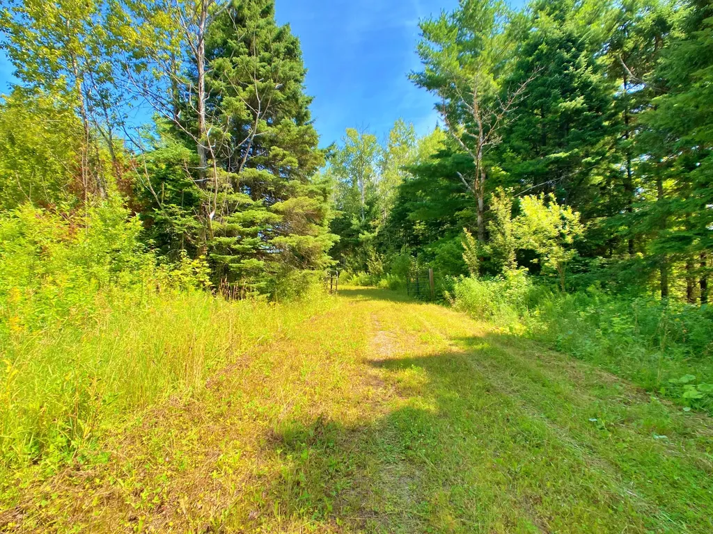 M11L114.5G New Sweden Road New Sweden ME 04762