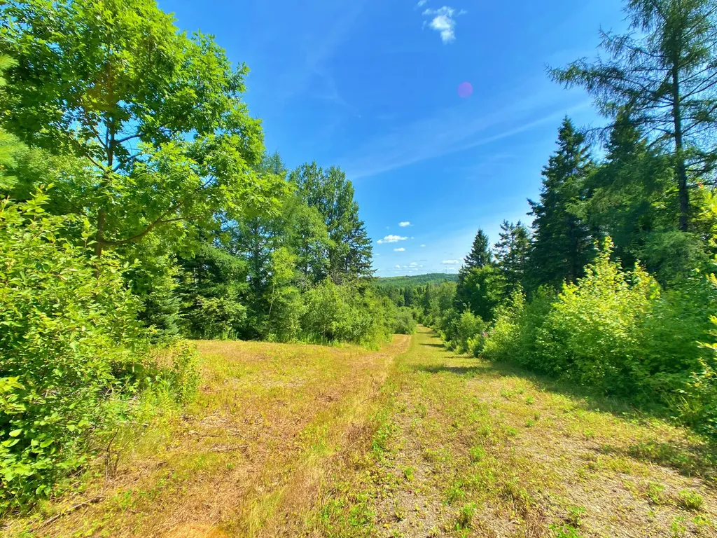 M11L114.5G New Sweden Road New Sweden ME 04762