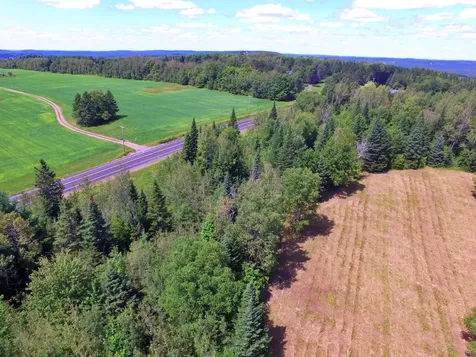 M11L114.5G New Sweden Road New Sweden ME 04762