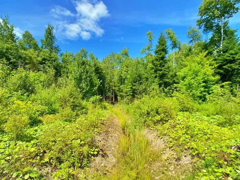 M11L114.5G New Sweden Road New Sweden ME 04762