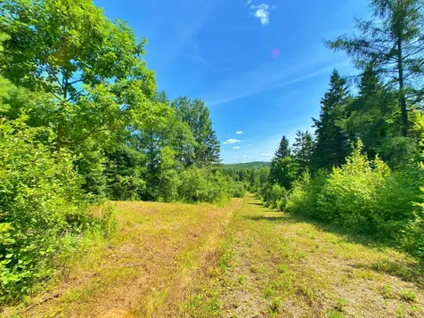 M11L114.5G New Sweden Road New Sweden ME 04762