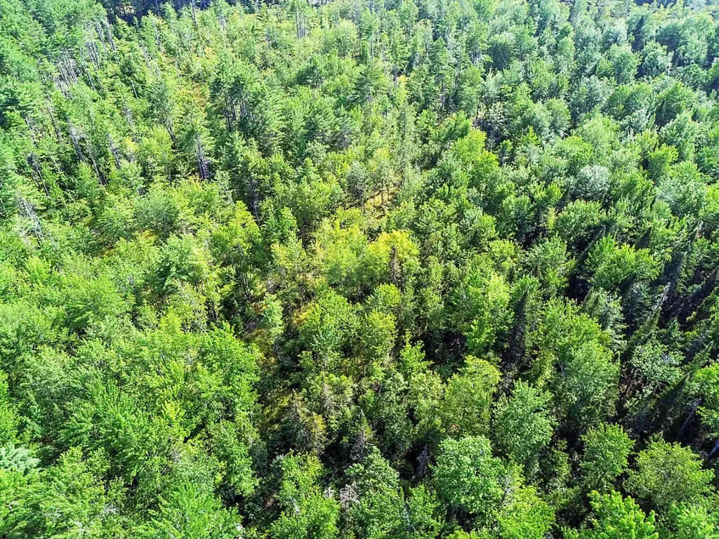 Tbd Bartlett Road Belgrade ME 04917