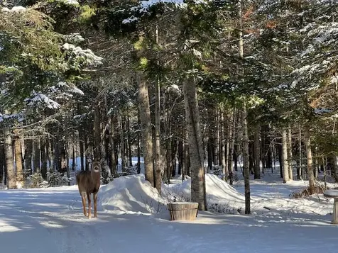 378 Mingo Loop Road Rangeley ME 04970