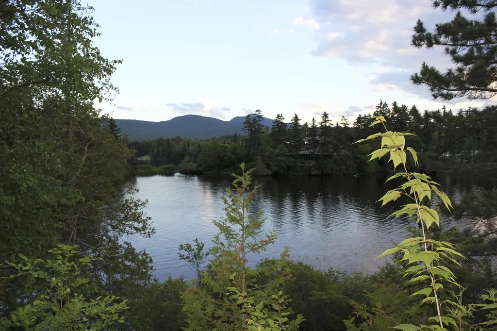 14 Innisfree Road Parlin Pond Twp ME 04945