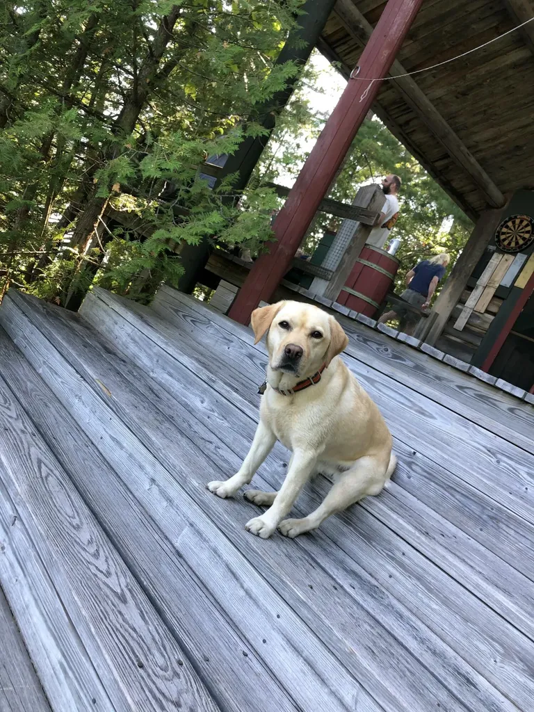 14 Innisfree Road Parlin Pond Twp ME 04945