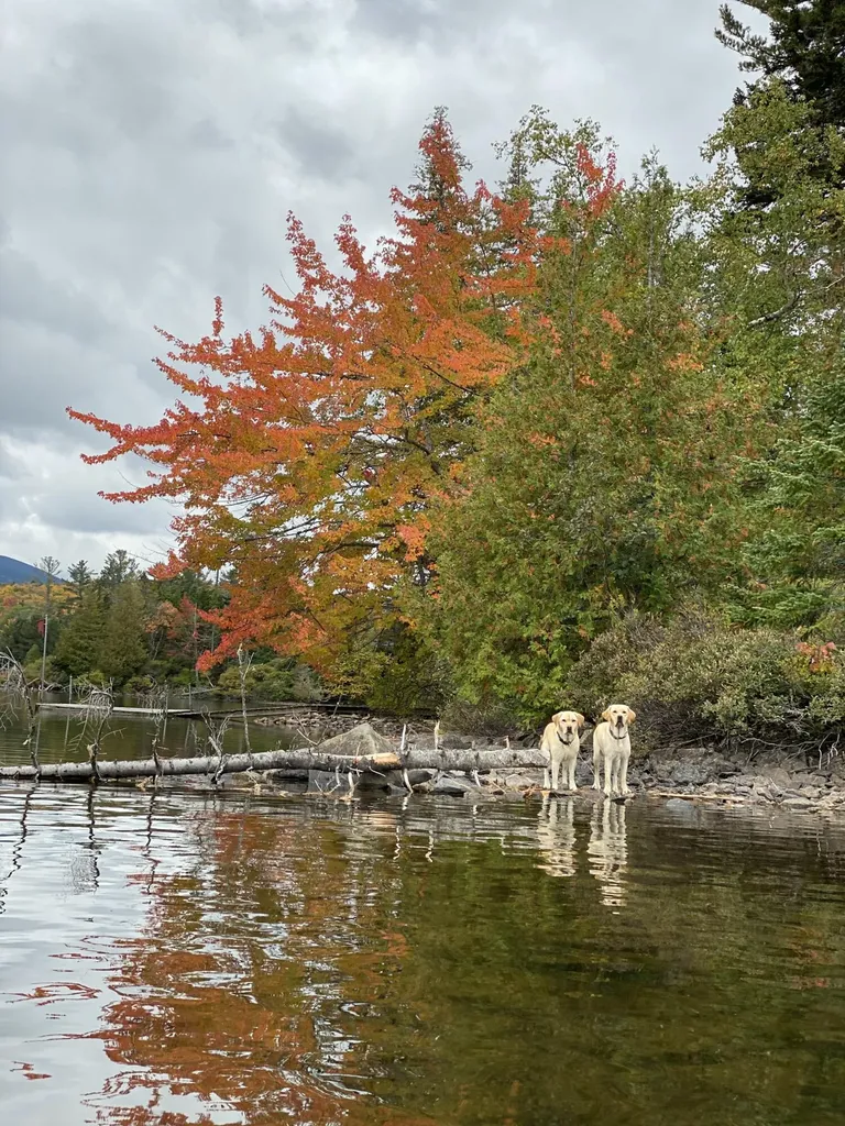 14 Innisfree Road Parlin Pond Twp ME 04945