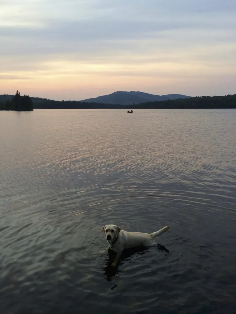 14 Innisfree Road Parlin Pond Twp ME 04945