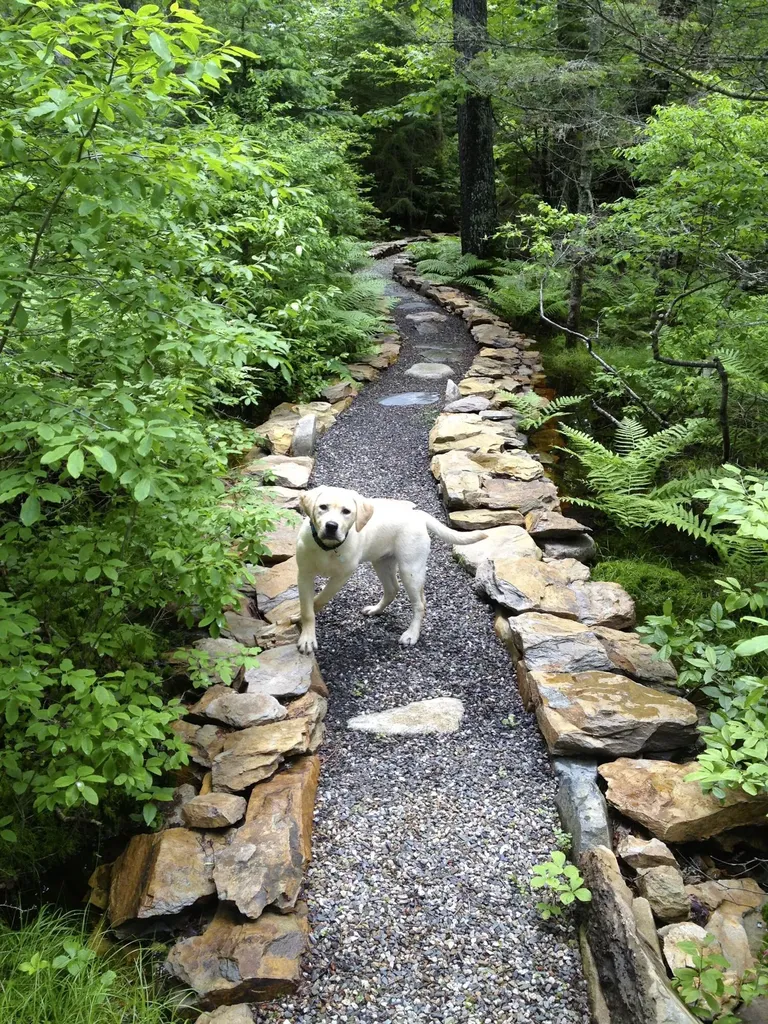 14 Innisfree Road Parlin Pond Twp ME 04945