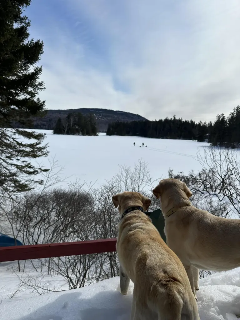 14 Innisfree Road Parlin Pond Twp ME 04945