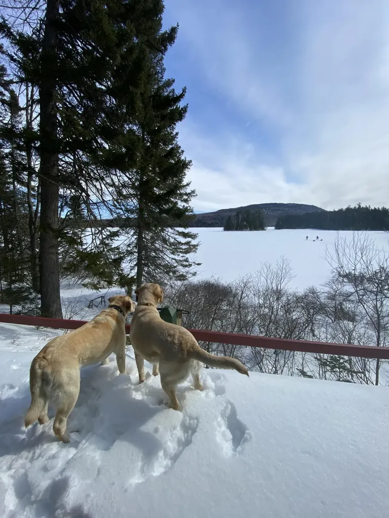 14 Innisfree Road Parlin Pond Twp ME 04945