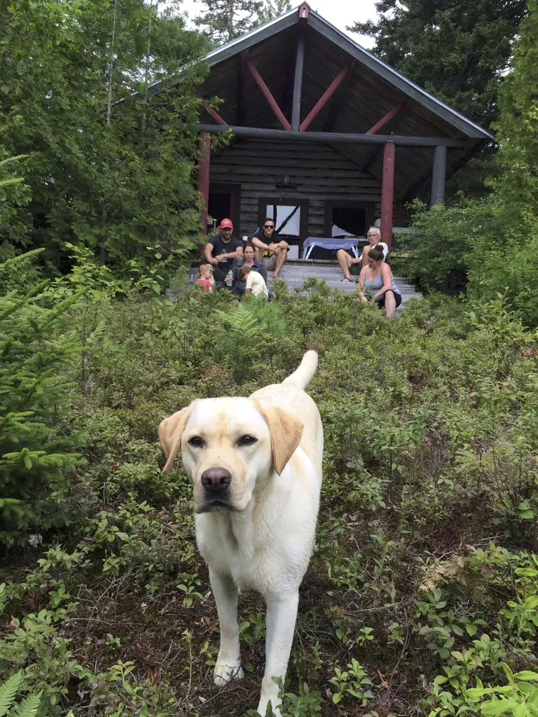 14 Innisfree Road Parlin Pond Twp ME 04945