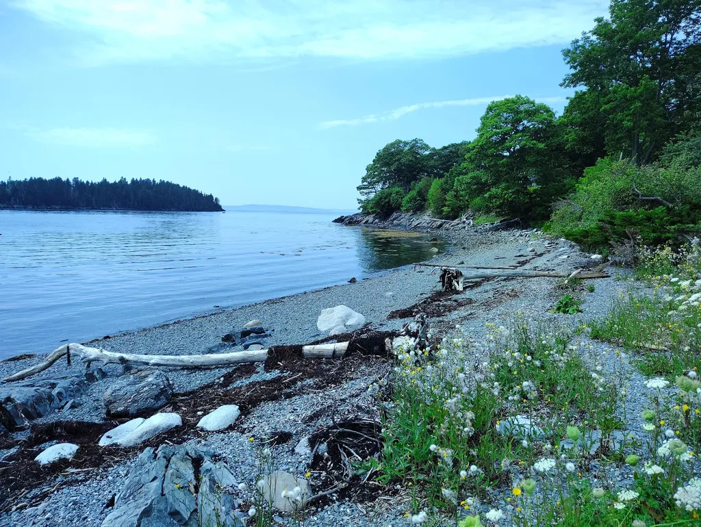 122 Waukeag Avenue Sorrento ME 04677