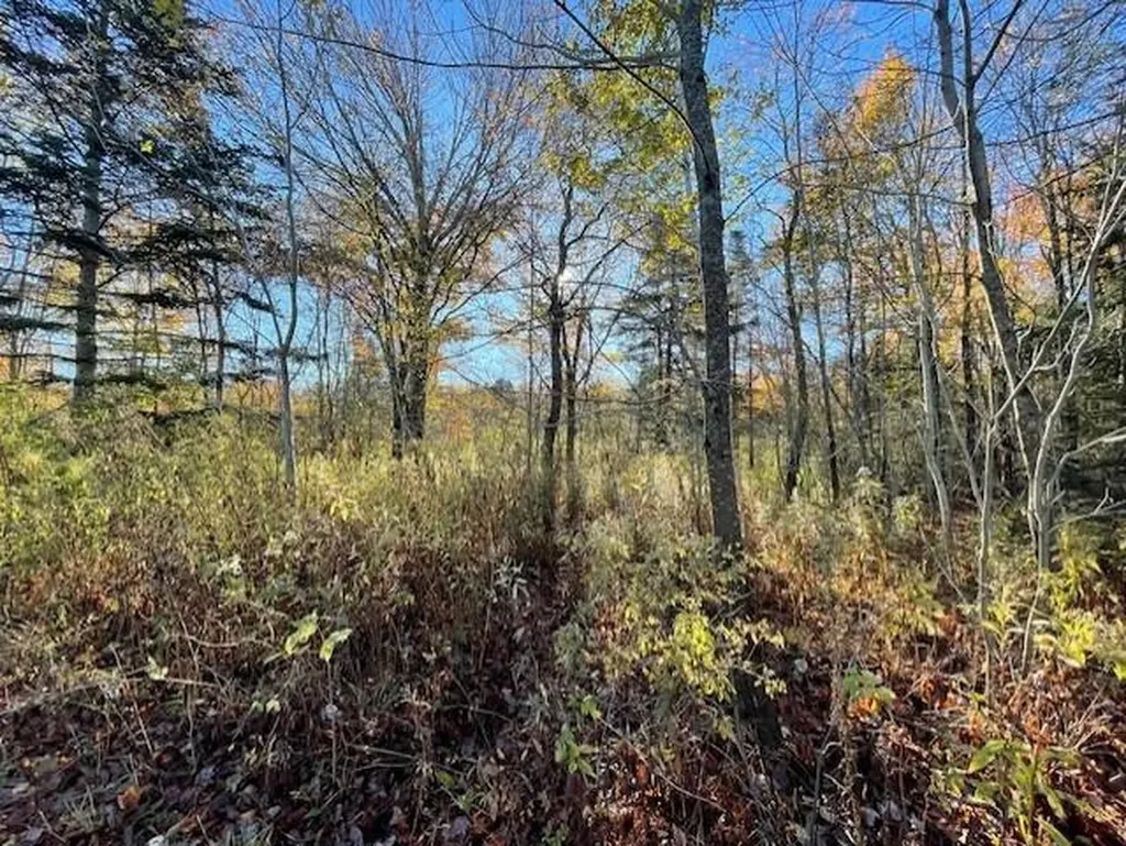 0 Maker Cove Road Owls Head ME 04854