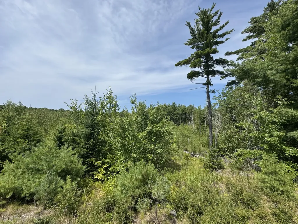 23-003-L Route 1 Gouldsboro ME 04607