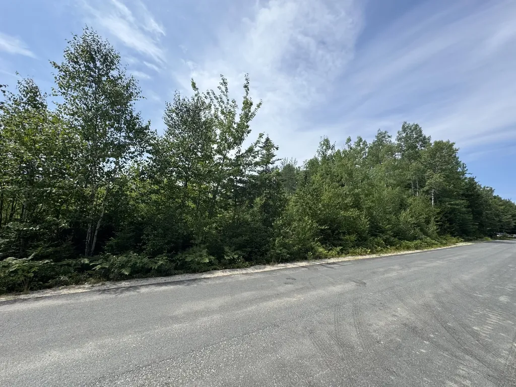 23-003-L Route 1 Gouldsboro ME 04607