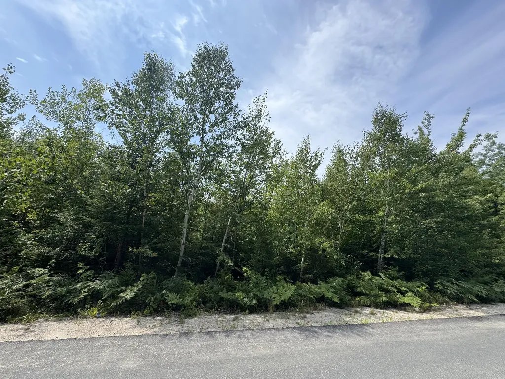 23-003-L Route 1 Gouldsboro ME 04607