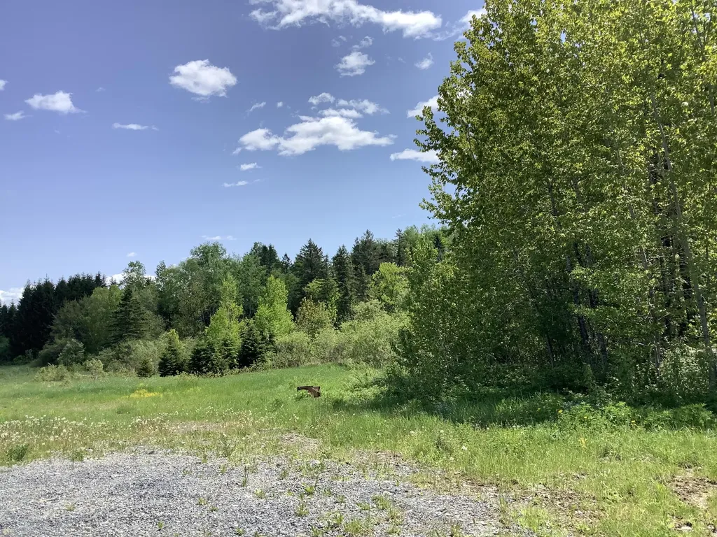 0 Rene Vaillancourt Home Farm Cyr Plt ME 04785