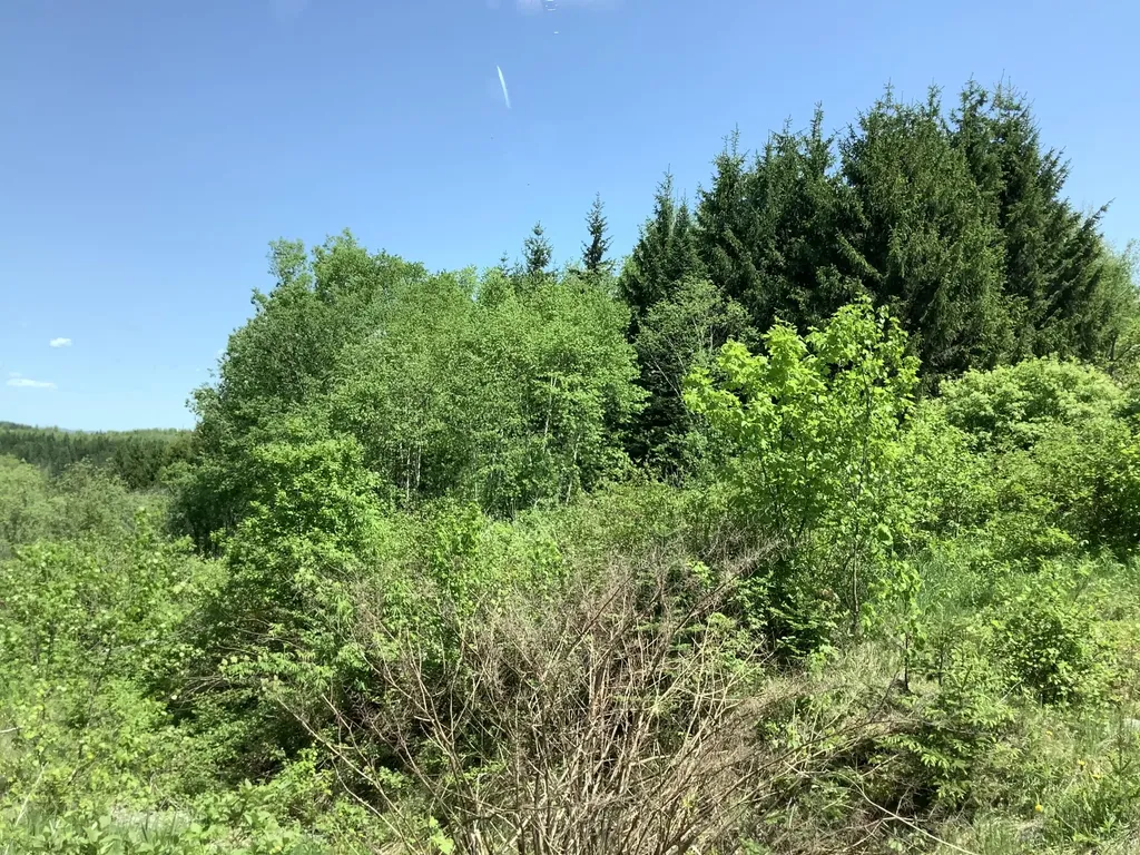 0 Rene Vaillancourt Home Farm Cyr Plt ME 04785